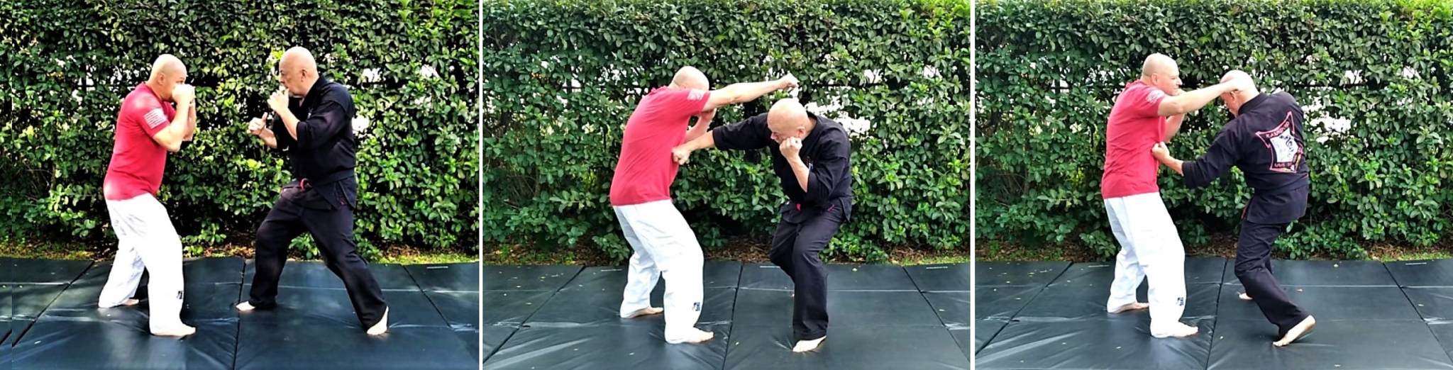 SIXKILLER KAJUKENBO The Sweet Science and Hitting Someone with the