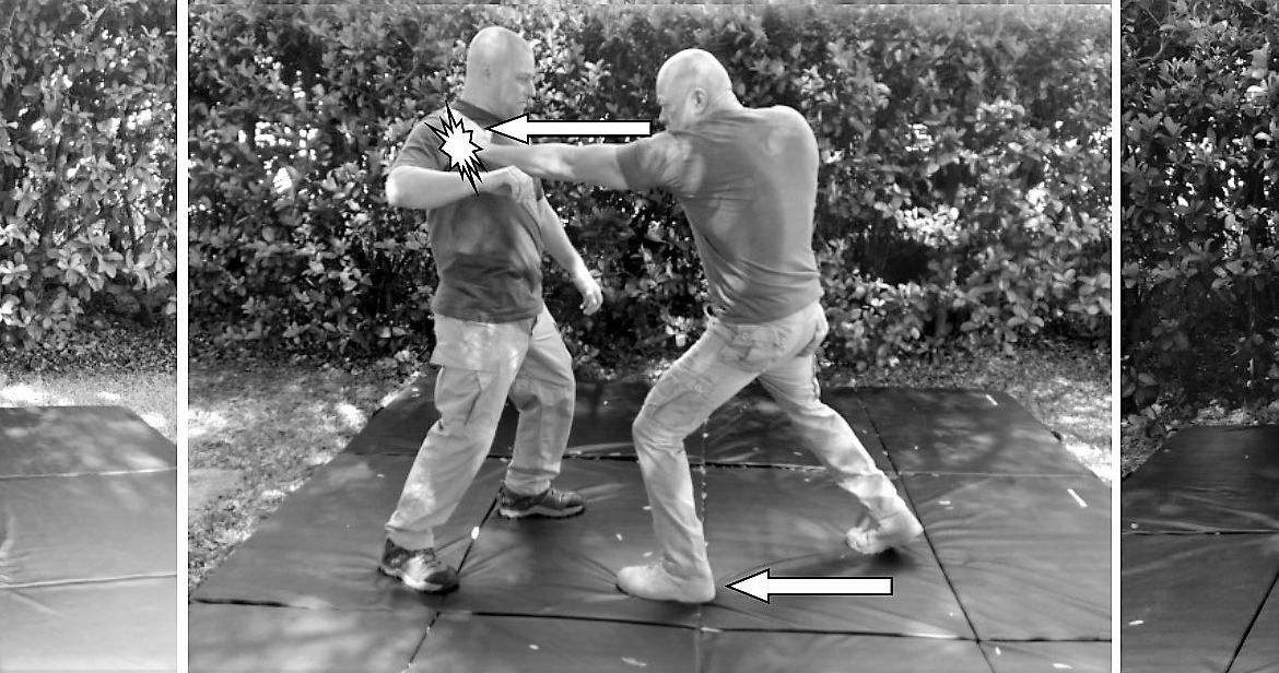 THE REVERSE HIP THROW: The Science Behind a WWII Era Combatives Classic