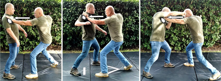 Upgrading a Military Classic: The Cross-Hock Takedown with Headbutt – Tactical, Technical and Biomechanical Analysis