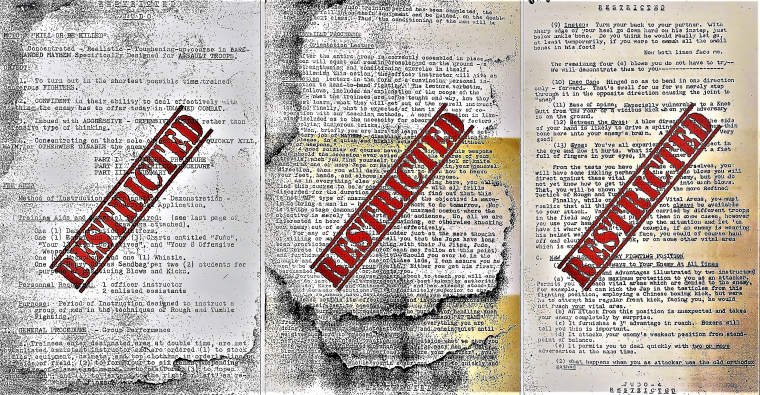Restricted Judo: The Hidden Architecture of a WWII Fighting System
